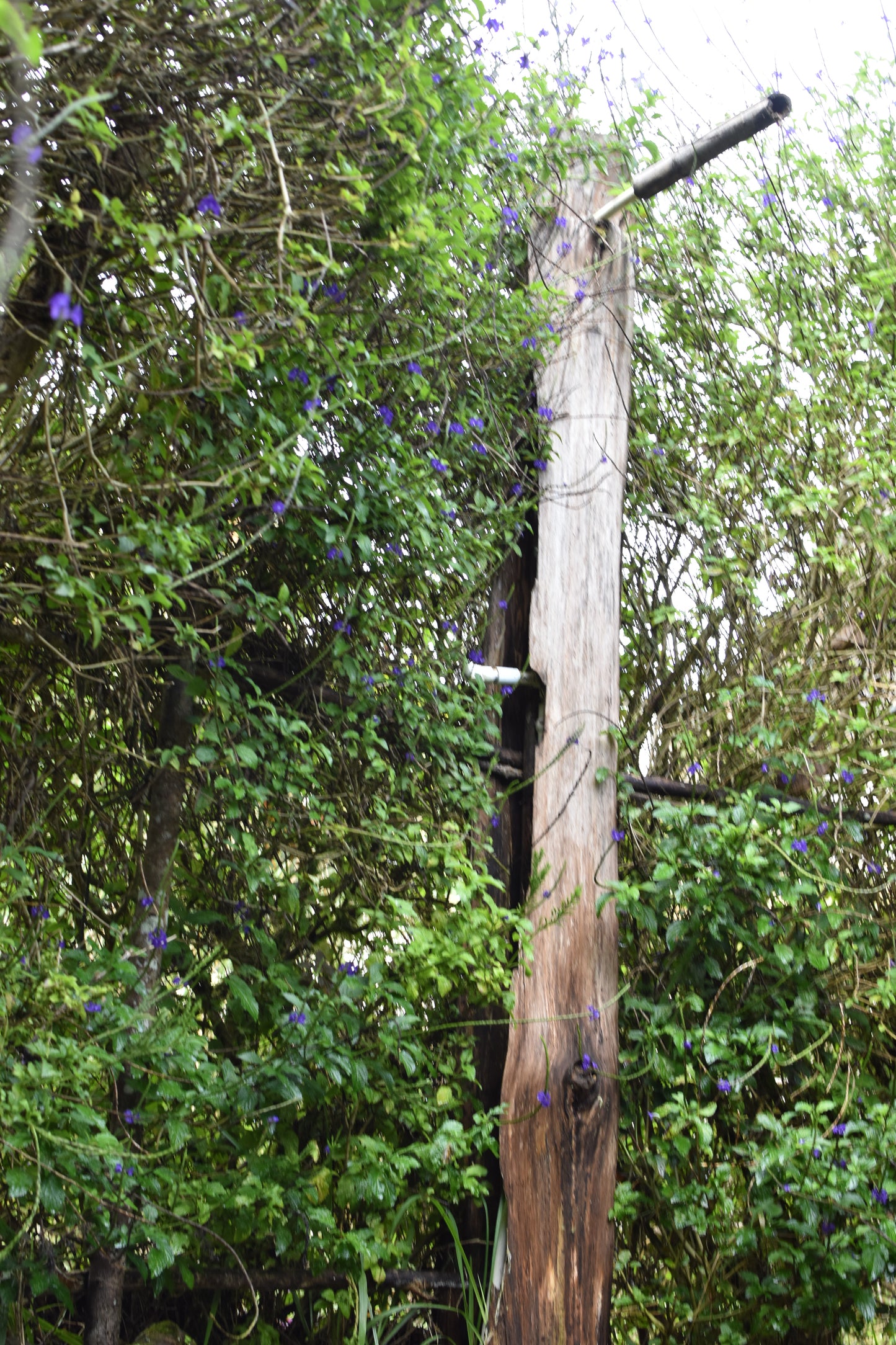 π "Sun of the Andes" Retreat: Reconnection in the Mountains