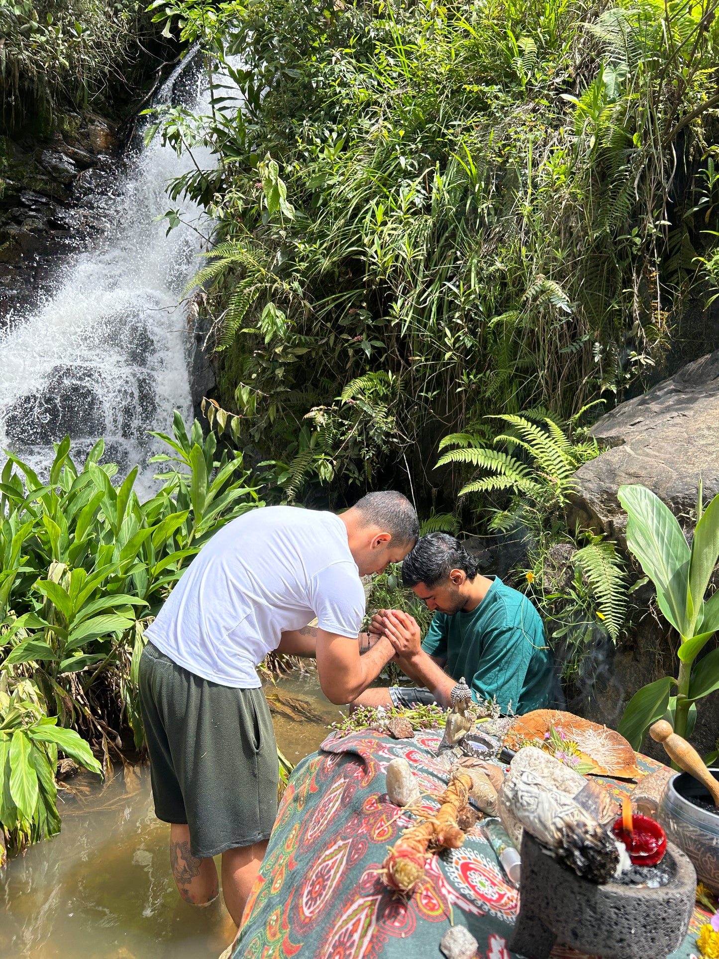 Inmersión Esencial EMZAK 3 Días — Reset Mental, Energía & Naturaleza en Medellín