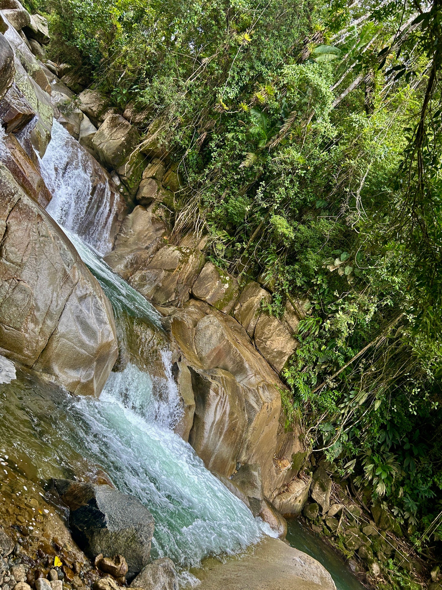 🌳 RUTA DE LOS 7 CHARCOS: EL CAMINO DE LOS 7 ELEMENTOS 🌿