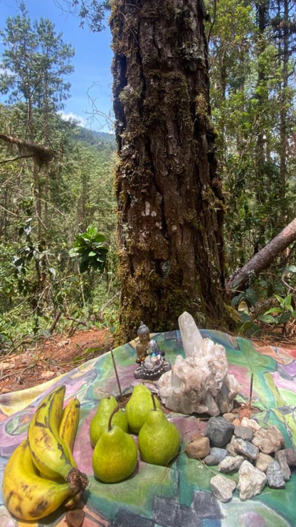 ⛰️ Experiencia Salto del Ángel: Envigado, Antioquia ⛰️