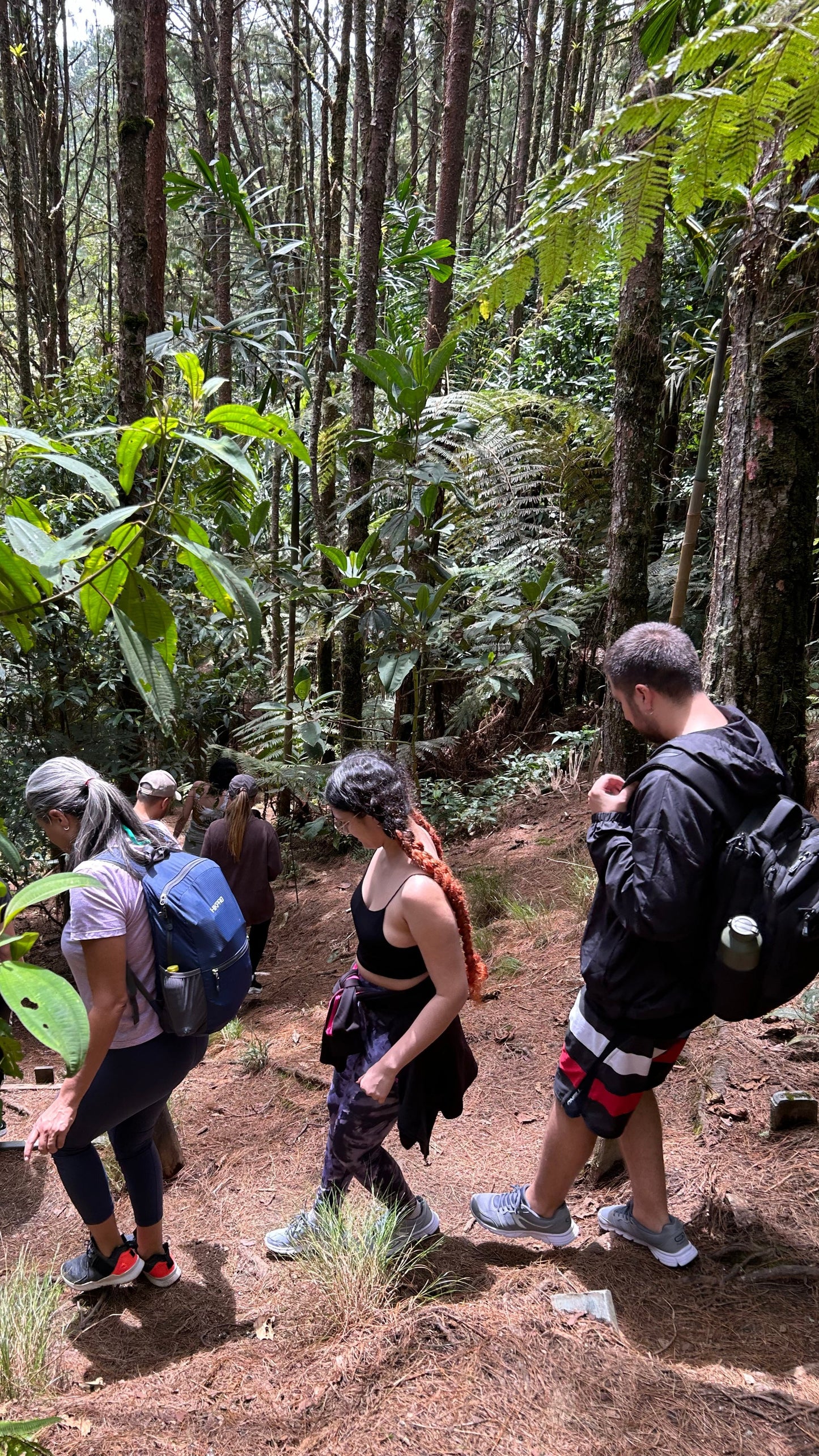 ⛰️ Experiencia Salto del Ángel: Envigado, Antioquia ⛰️