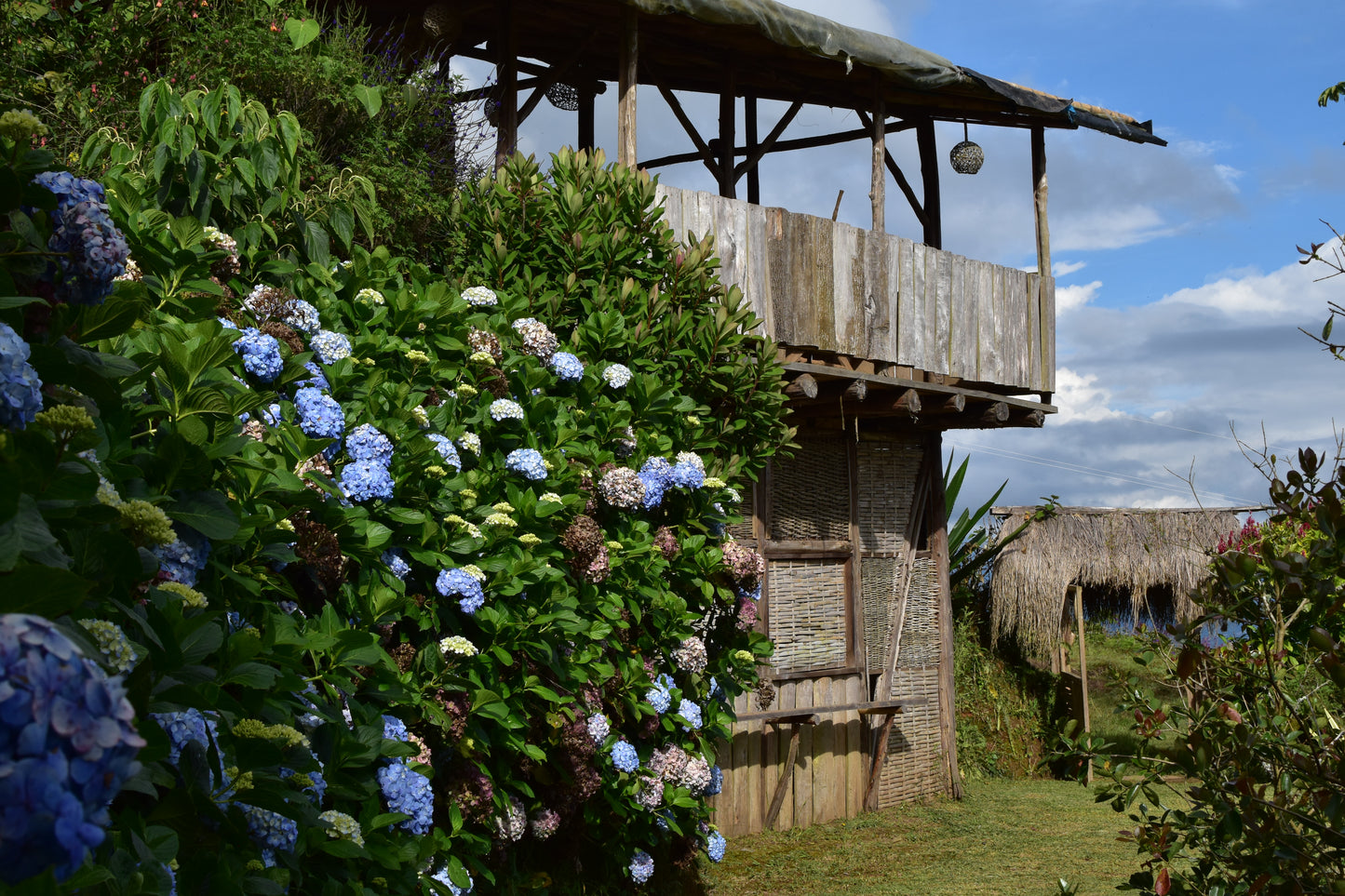 🌞 Retiro "Sol de los Andes": Reconexión en la Montaña