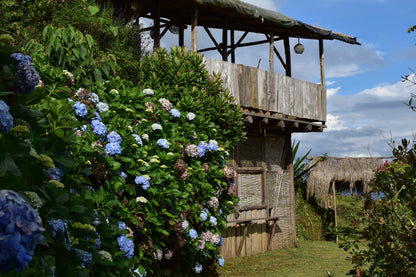 🌞 Retiro "Sol de los Andes": Reconexión en la Montaña