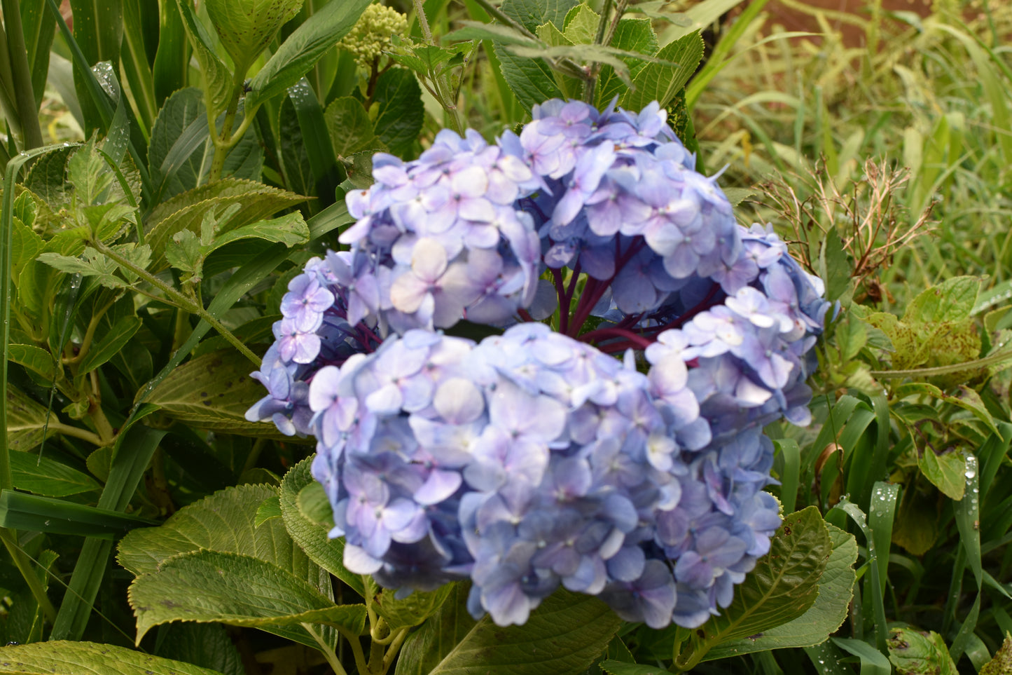 🌞 Retiro "Sol de los Andes": Reconexión en la Montaña