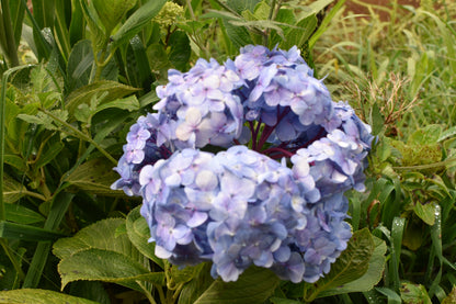 🌞 Retiro "Sol de los Andes": Reconexión en la Montaña