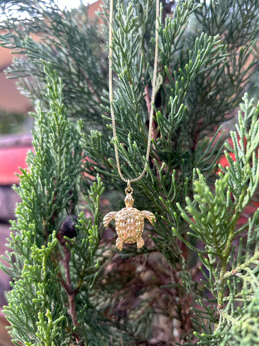 Amuleto Tortuga 🐢