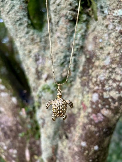 Amuleto Tortuga 🐢