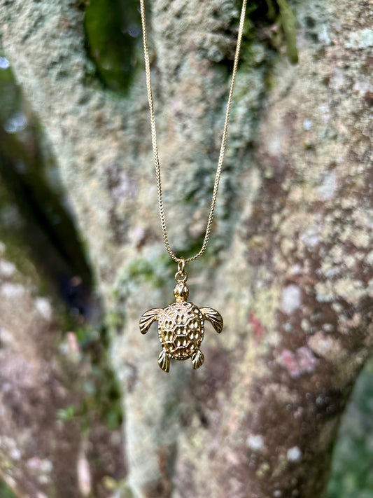 Amuleto Tortuga 🐢