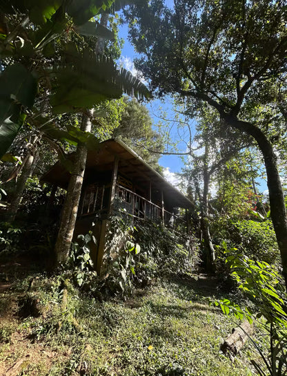 Casa Jardín @ Sumer Farms – Medellín | Garden Cabin Stay at Sumer Farms