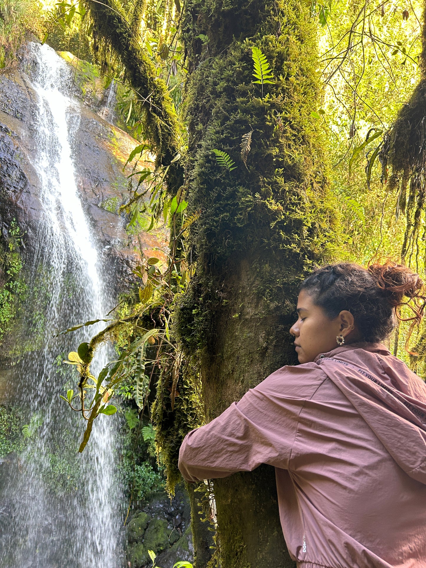 Experiencia 7 cascadas y cueva del esplendor JARDIN ANTIOQUIA