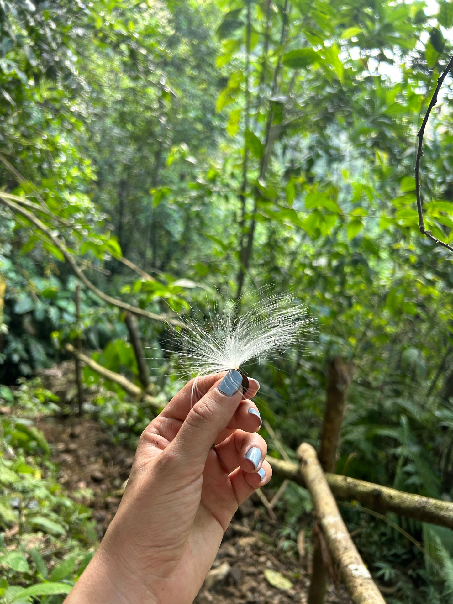 👉 Ruta El Tagual: Experiencia de Liberación en Cascadas | Wellness Tour desde Medellín (May 31, 2026)