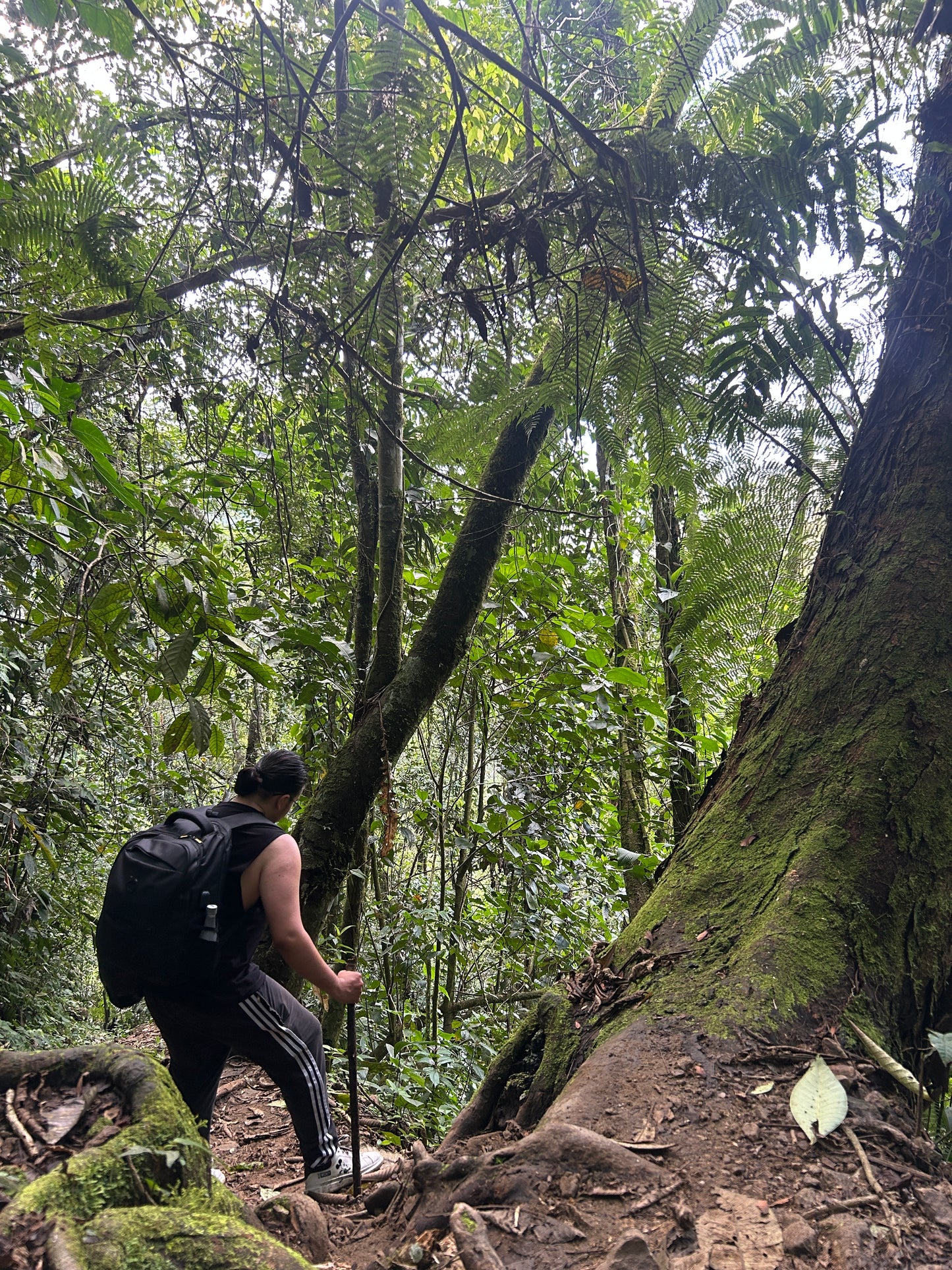 👉 Ruta El Tagual: Experiencia de Liberación en Cascadas | Wellness Tour desde Medellín (May 31, 2026)