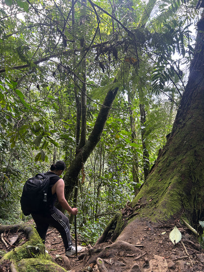 👉 Ruta El Tagual: Experiencia de Liberación en Cascadas | Wellness Tour desde Medellín (May 31, 2026)
