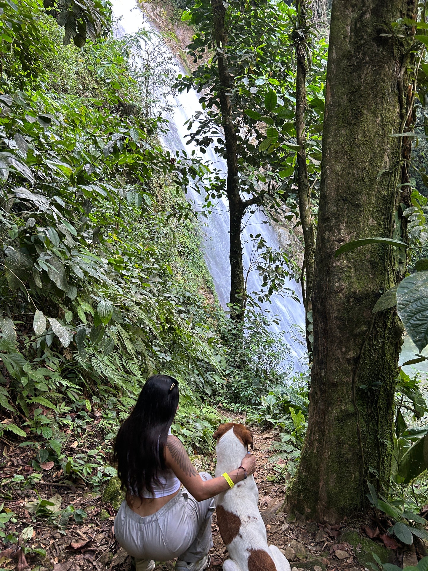 👉 Ruta El Tagual: Experiencia de Liberación en Cascadas | Wellness Tour desde Medellín (May 31, 2026)
