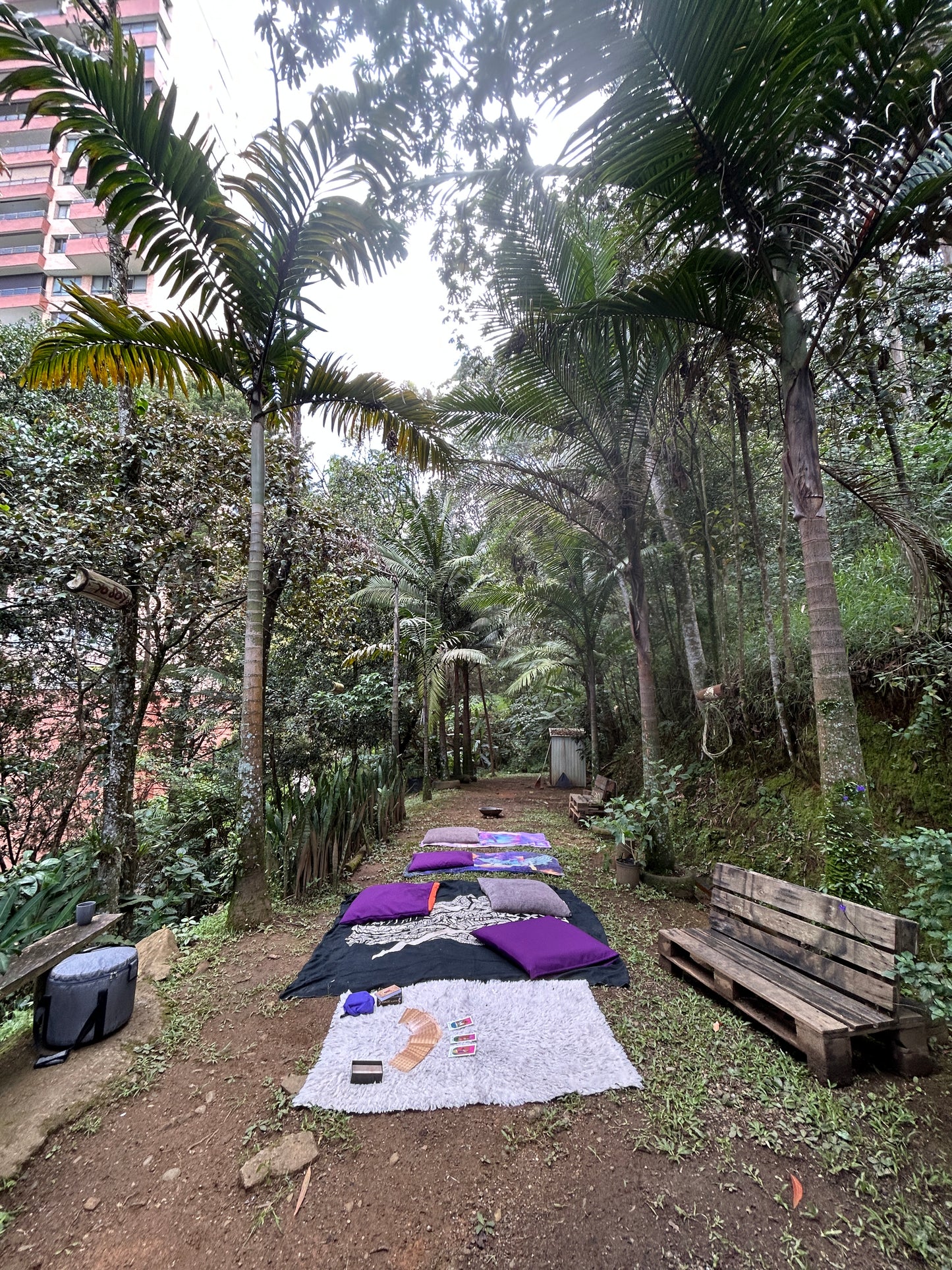 🌿 Meditación Guiada, Sound Healing y Desayuno en Sumer Farms ✨
