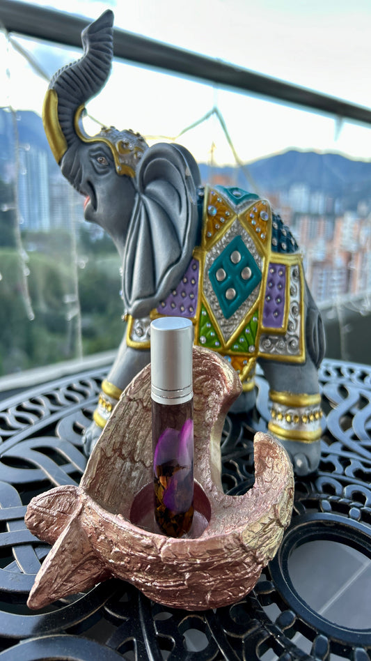 Esencia de kariaquito Morado – Purificación y Buena Fortuna