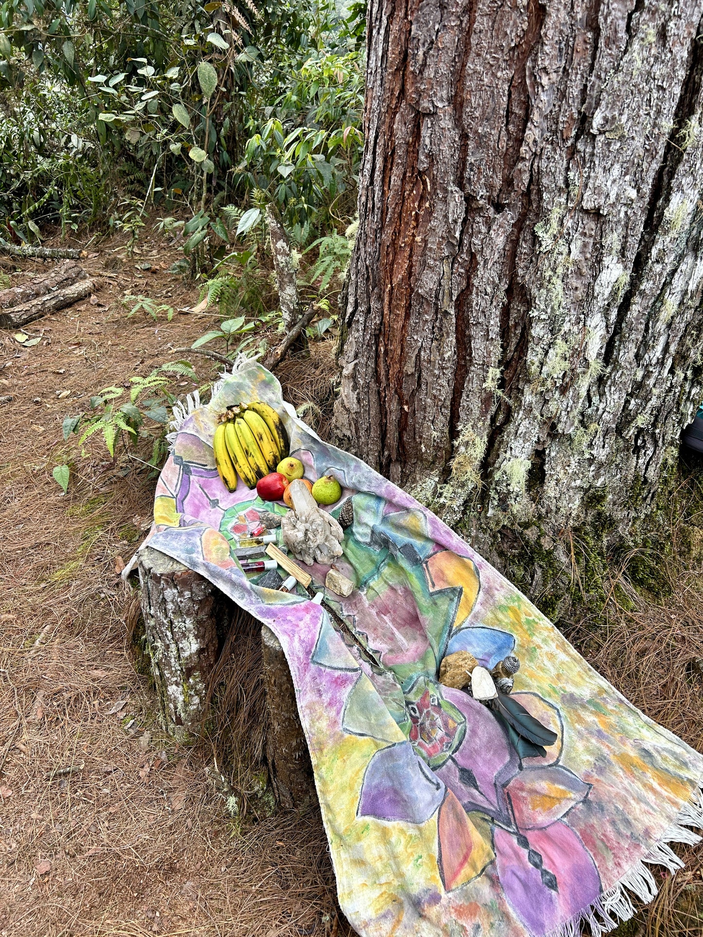 👉 Ruta El Tagual: Experiencia de Liberación en Cascadas | Wellness Tour desde Medellín (May 31, 2026)