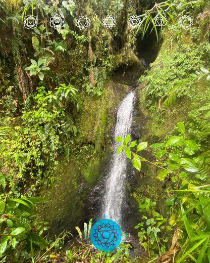 Experiencia 7 cascadas y cueva del esplendor JARDIN ANTIOQUIA