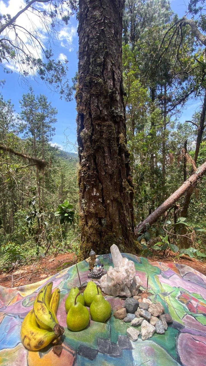 ⛰️ Experiencia Salto del Ángel: Envigado, Antioquia ⛰️