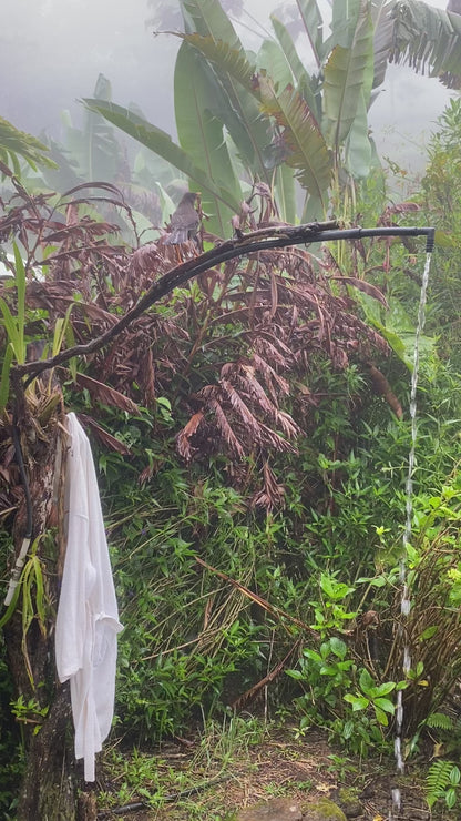 🌞 Retiro "Sol de los Andes": Reconexión en la Montaña